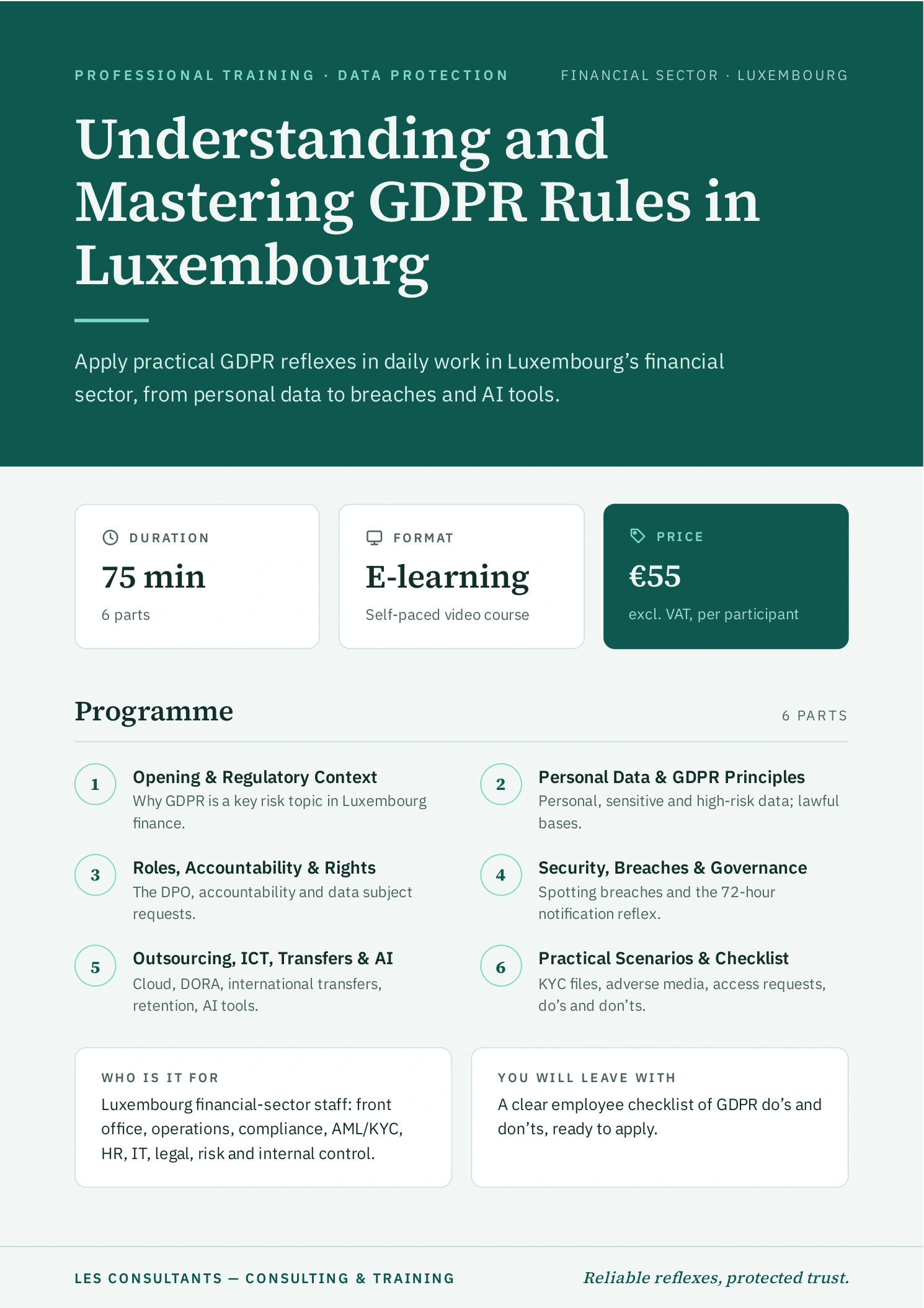 Understanding and Mastering GDPR Rules in Luxembourg
